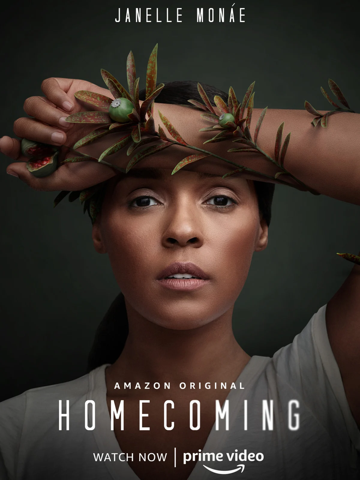 affiche de Homecoming